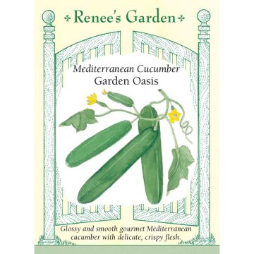 Cucumis, Cucumber 'Garden Oasis' Hybrid ~ 23 seeds
