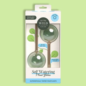 We the Wild Self-Watering Glass Plant Globes