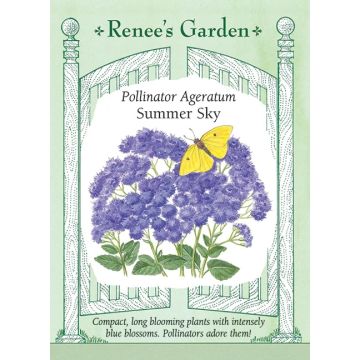 Ageratum 'Summer Sky' ~ 1000 seeds