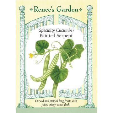Cucumis, Armenian Cucumber 'Painted Serpent' ~ 26 seeds