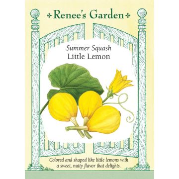 Cucurbita, Summer Squash 'Little Lemon' ~ 20 seeds