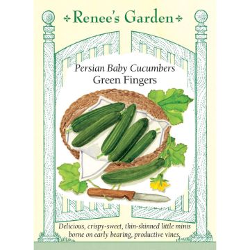 Cucumis, Cucumber 'Green Fingers' Hybrid ~ 18 seeds