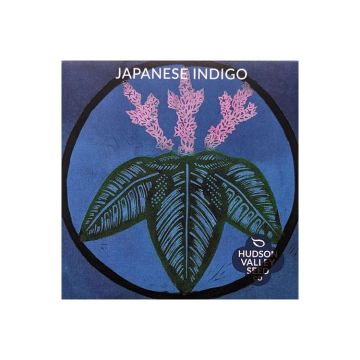 Persicaria, Japanese Indigo ~ 25 seeds