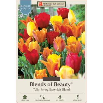 Tulipa Assortment, 'Spring Essentials'