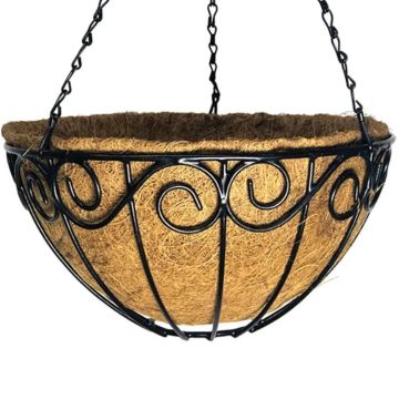 Border Concepts, Norfolk Hanging Basket with Coco Liner