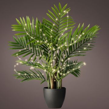Lumineo LED, Plant Lights Warm White Battery Operated, 160L