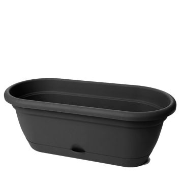 Bloem, Lucca Self Watering Oval Window Box Planter, Black, 18"