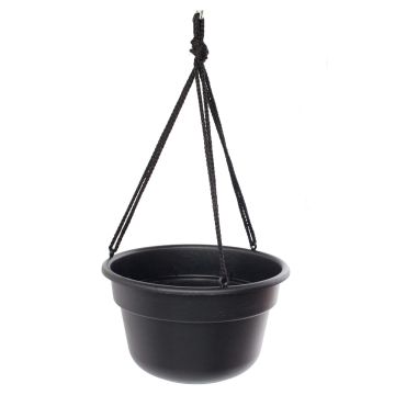 Bloem, Dura Cotta Self Watering Hanging Basket Planter, Black, 12"