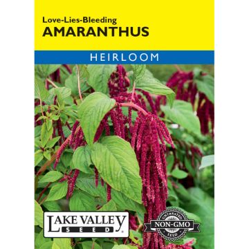 Amaranthus, Love-Lies-Bleeding Heirloom