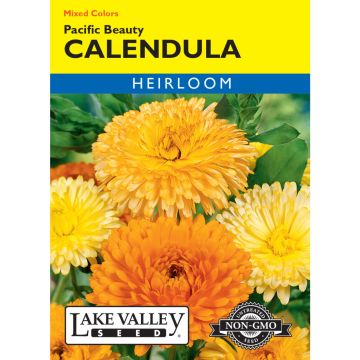 Calendula 'Pacific Beauty' Mixed Colors