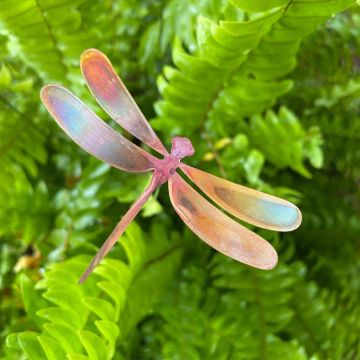 Natural Copper Dragonflies, Medium, Garden Pic