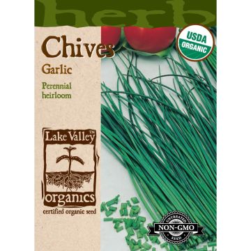Allium, Chives 'Garlic' Organic Heirloom
