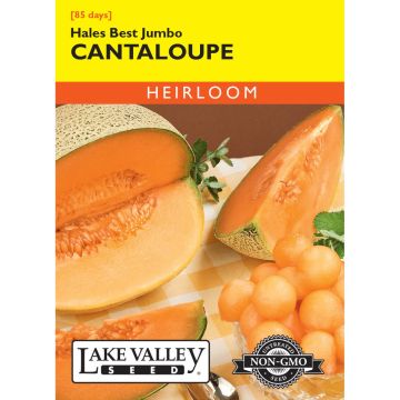 Cucumis, Cantaloupe 'Hales Best Jumbo' Heirloom