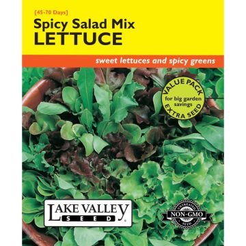 Lettuce Mix 'Spicy Salad' Value Pack