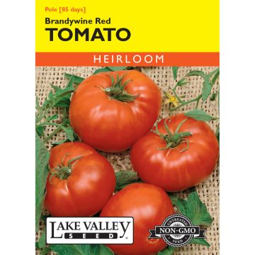 Solanum, Tomato (Pole) 'Brandywine Red'