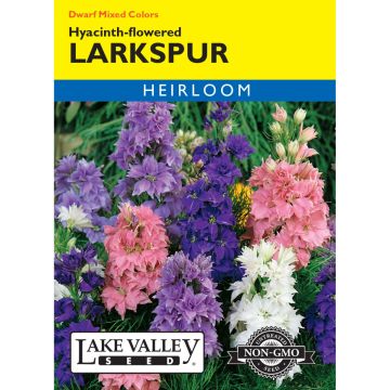 Consolida, Dwarf Larkspur 'Hyacinth-Flowered' Mixed Colors