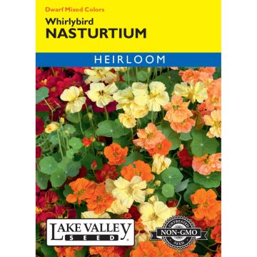 Tropaeolum, Dwarf Nasturtium 'Whirlybird' Mixed Colors
