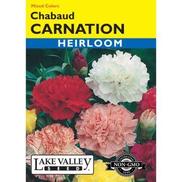 Dianthus, Carnation Mix 'Chabaud' Heirloom