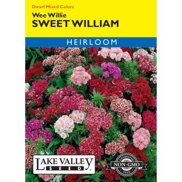 Dianthus, Sweet William Mix 'Wee Willie' Heirloom