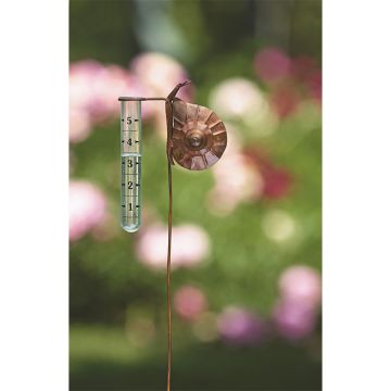 Ancient Graffiti, Flamed Metal Snail Rain Gauge 27IN
