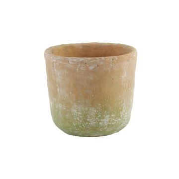 A&B Floral Weathered Cement Pot Terracotta Moss