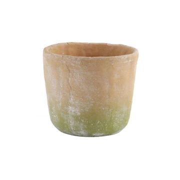 A&B Floral Weathered Cement Large Pot Terracotta Moss