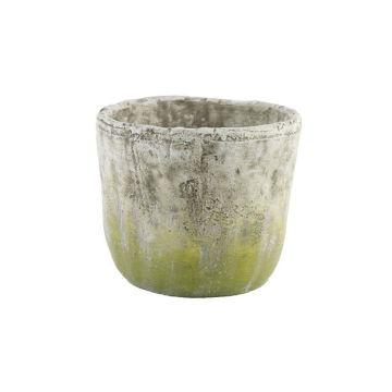 A&B Floral Weathered Cement Large Pot Grey Moss