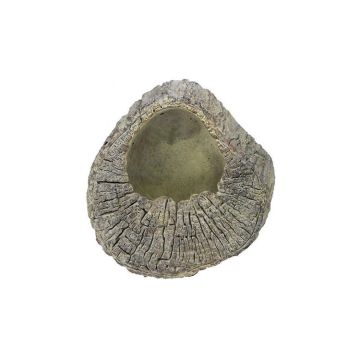A&B Floral Cement Tree Cross Section Slab Planter