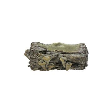 A&B Floral Cement Log & Mushroom Planter