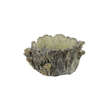 A&B Floral Cement Stump & Mushroom Planter