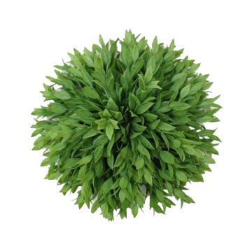A&B Floral Half Round Ruscus Ball