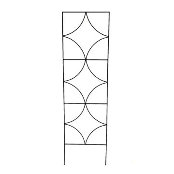 BORDER CONCEPTS Trellis 'Burst'