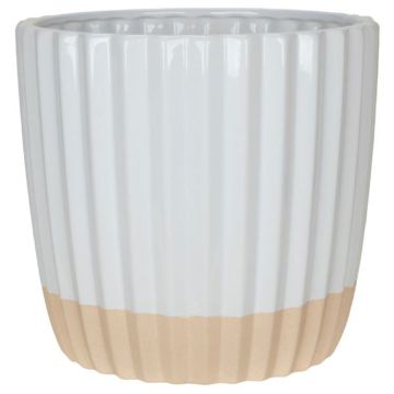 Round Corrugated White Pottery with Tan Bottom Stripe
