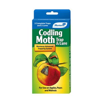 Monterey Codling Moth Trap & Lure