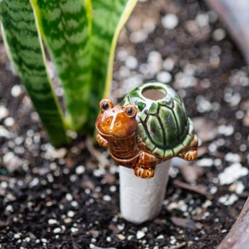 Pd Home Ceramic Turtle Pot Stake