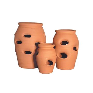 BORDER CONCEPTS Strawberry Jars Tall