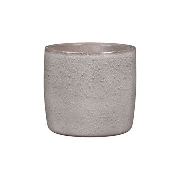 Scheurich Seashell Pot Cover, 6"