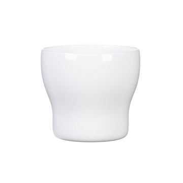 Scheurich Fun Fiesta Alaska Pot