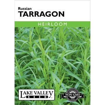 Artemisia, Russian Tarragon