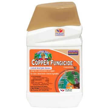 BONIDE 811 Liquid Copper Fungicide Concentrate, 1 pint