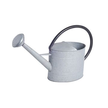 Oval Watering Can, 2.1 Gallon