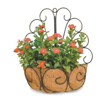 Deer Park Ironworks® Peacock Wall Basket Natural Patina - 18in L x 18in W x 19in H - Coco Line Included