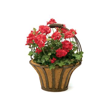 Deer Park Ironworks® Solera Basket Natural Patina 15" Diam x 19"H Coco Liner Included