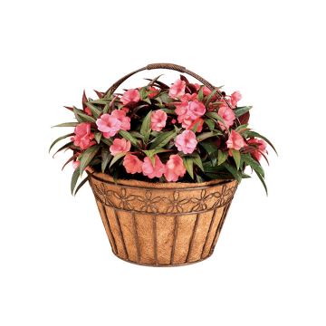 Deer Park Ironworks® Daisy Ribbon Basket Natural Patina 16in Diam x 10in H Coco included