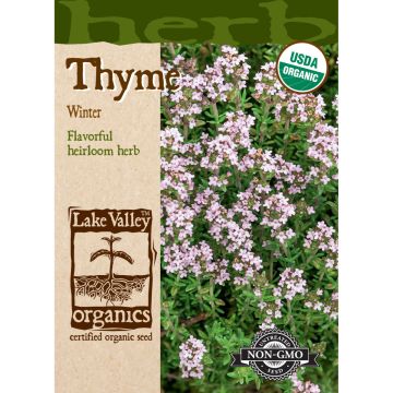 Thymus, Winter Thyme