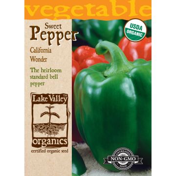 Capsicum, Pepper Sweet 'California Wonder' Green Bell