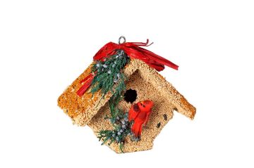 Mr. Bird, Wren Casita