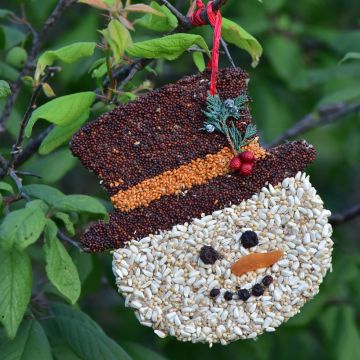 Mr. Bird, Frosty Christmas Cookie