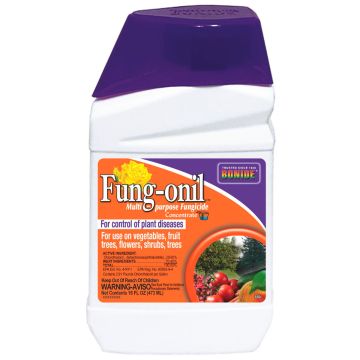 BONIDE 880 Fung-onil Fungicide Concentrate, 1 Pint