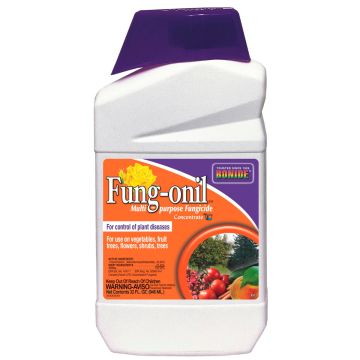 BONIDE 881 Fung-onil® Fungicide Concentrate, 1 quart